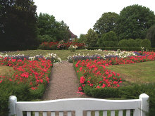 DSCF1333.jpg (276938 Byte)