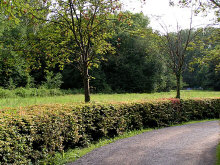 PICT0151.jpg (133850 Byte)