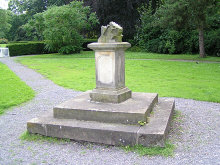 PICT0168.jpg (343357 Byte)