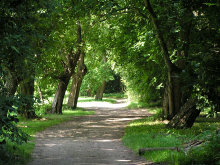 PICT0947.jpg (100504 Byte)