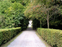 PICT1465.jpg (127732 Byte)