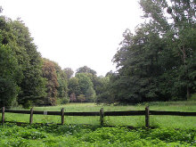 PICT1472.jpg (87932 Byte)