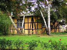 PICT3409.jpg (140987 Byte)