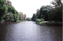 dv001002net.jpg (116401 Byte)