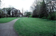 dv001204net.jpg (123261 Byte)