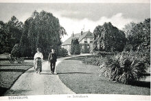 dv001301net.jpg (135464 Byte)