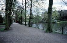 dv002203net.jpg (130725 Byte)