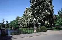 dv002304net.jpg (121605 Byte)