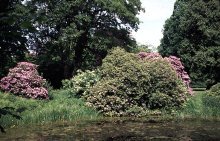 dv002902net.jpg (161775 Byte)