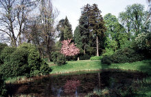 dv003104net.jpg (157473 Byte)