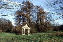 dv005104net.jpg (164051 Byte)