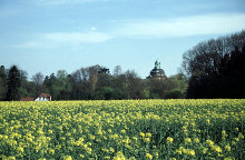 dv005302net.jpg (127727 Byte)