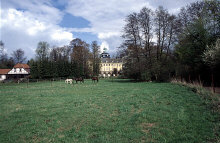 dv005702net.jpg (122882 Byte)